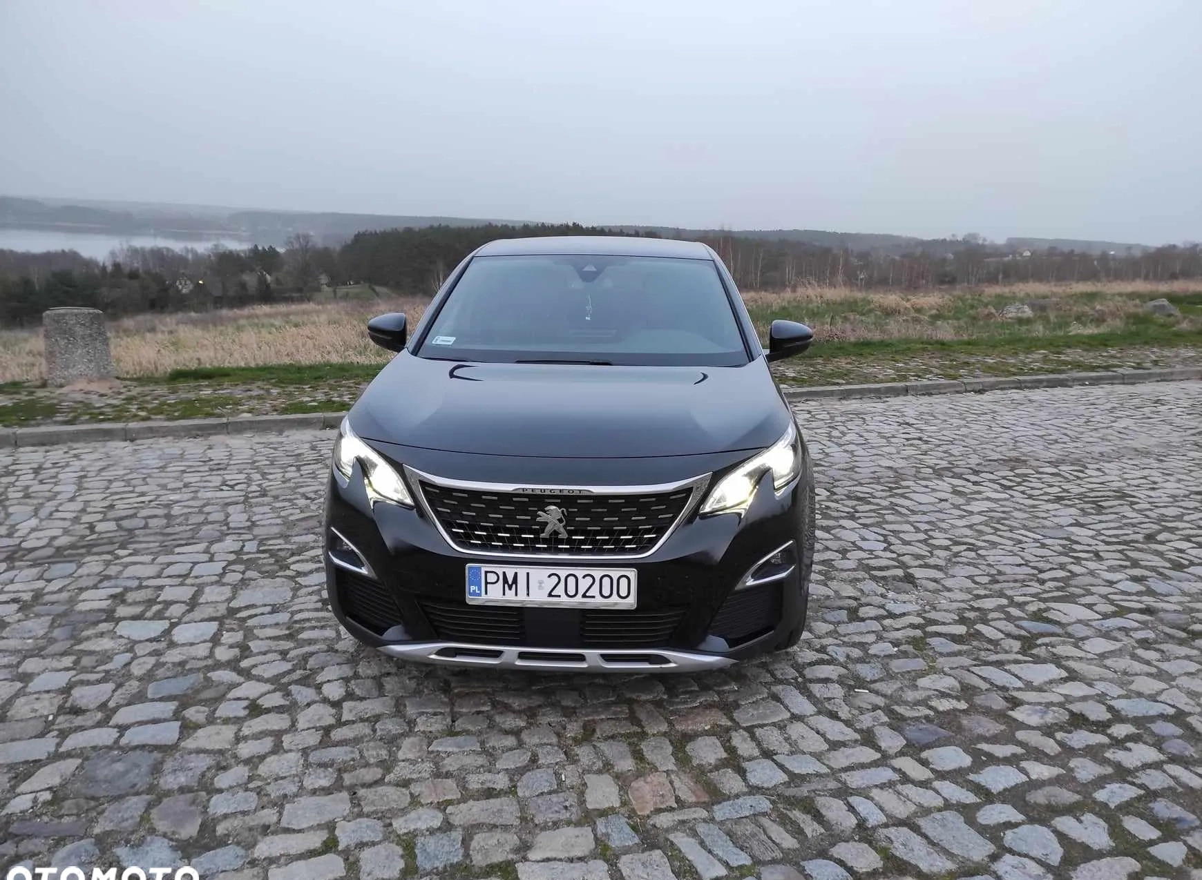 Peugeot 3008 cena 79000 przebieg: 172500, rok produkcji 2017 z Sieraków małe 277